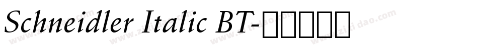 Schneidler Italic BT字体转换